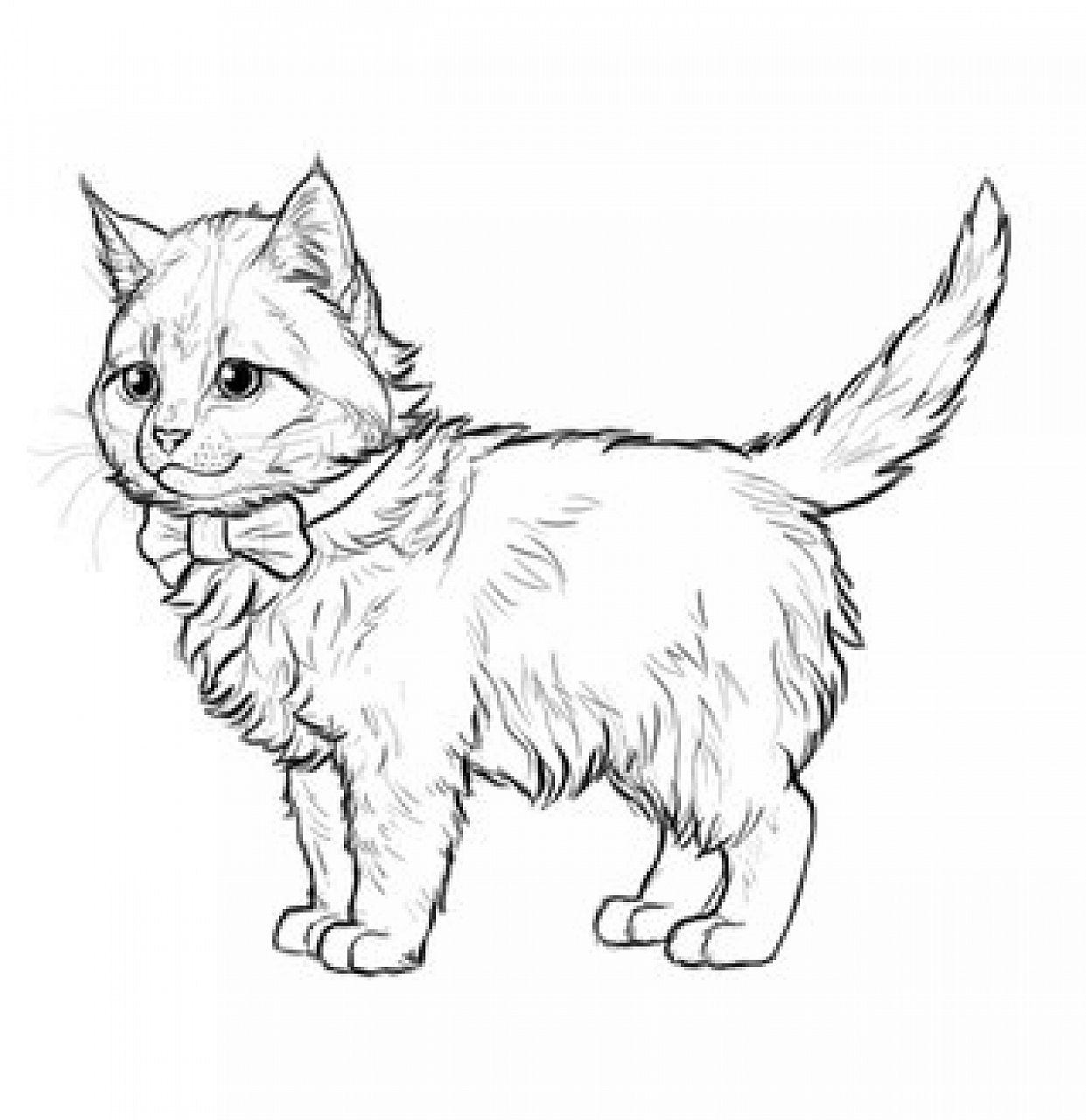 feline chronicles