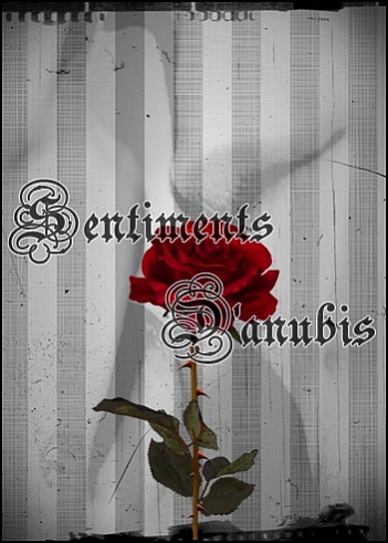 D'anubis feelings