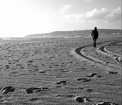 Traced Paths