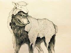 Wolf in Lamb Skin