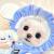 Elizabeth_Carter7