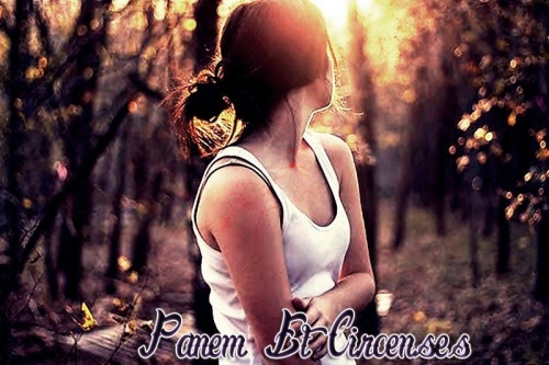 Panem Et Circenses