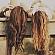 Two girls