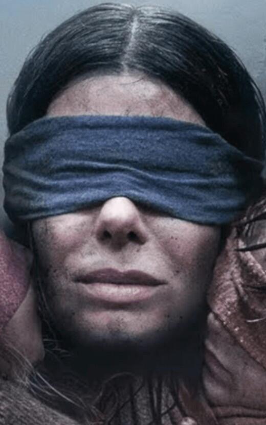 Bird Box: Rio