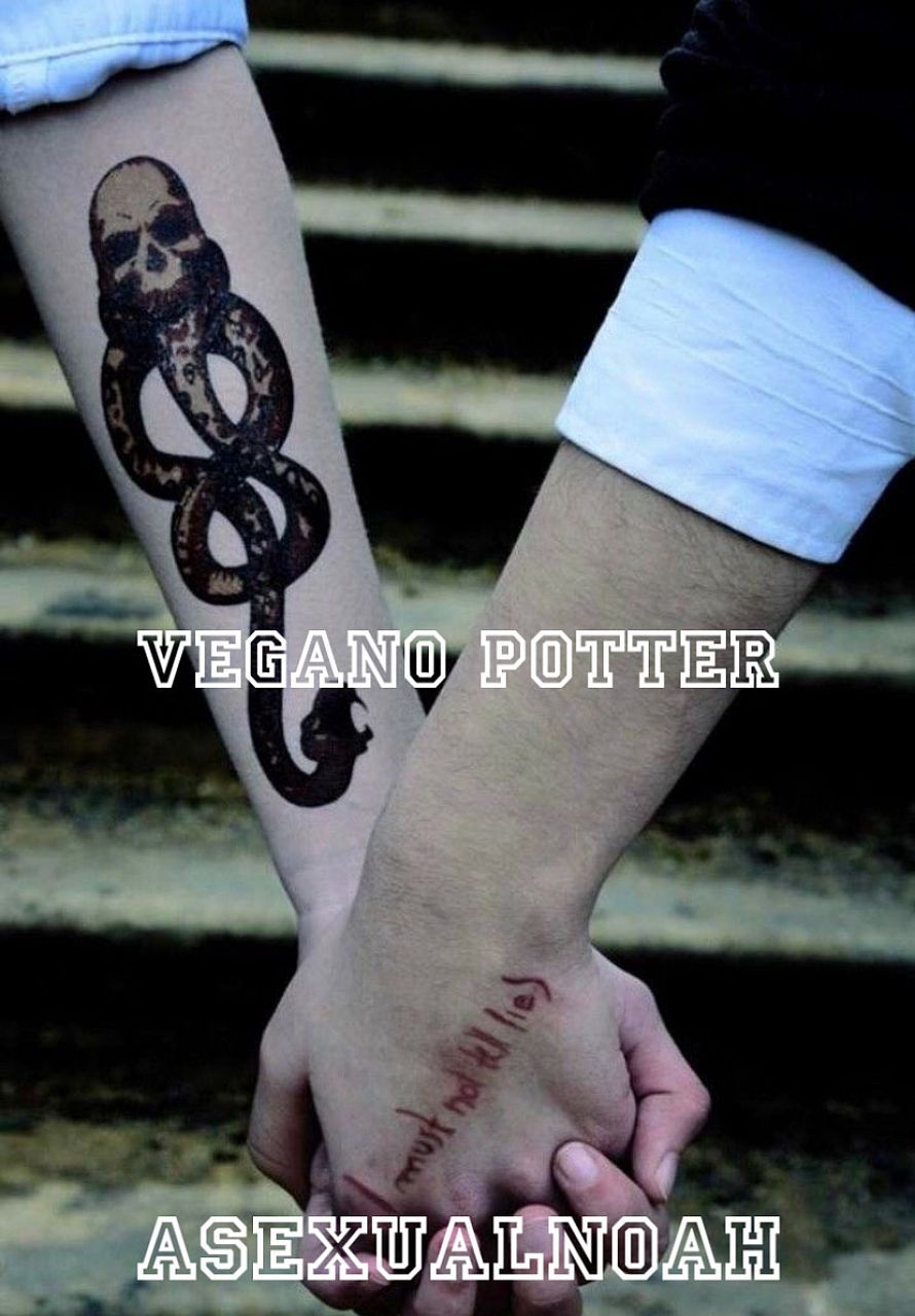 ????𝐄𝐆𝐀𝐍𝐎 𝐏𝐎𝐓𝐓𝐄𝐑 • Drarry/Harco