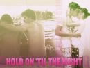 Hold On Til The Night