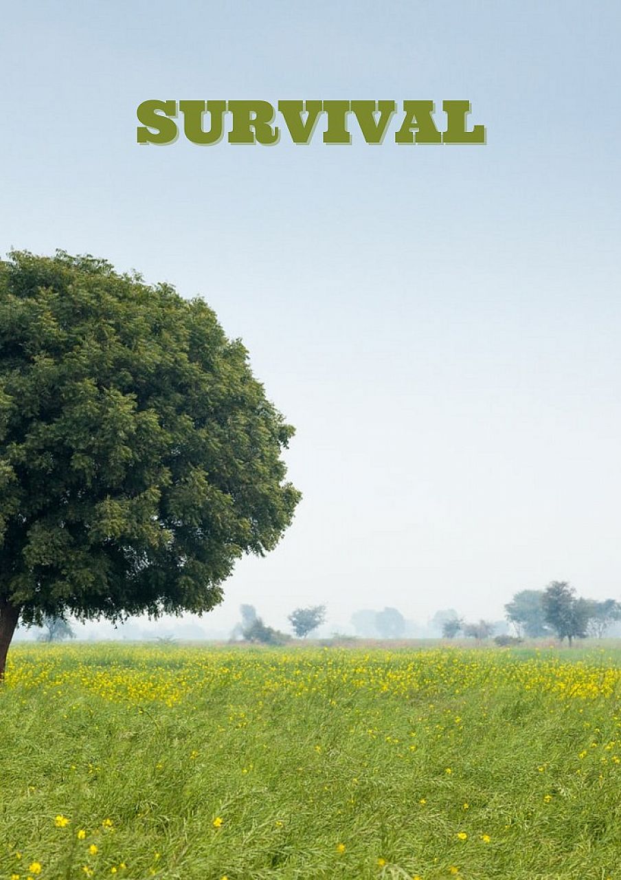 Survival