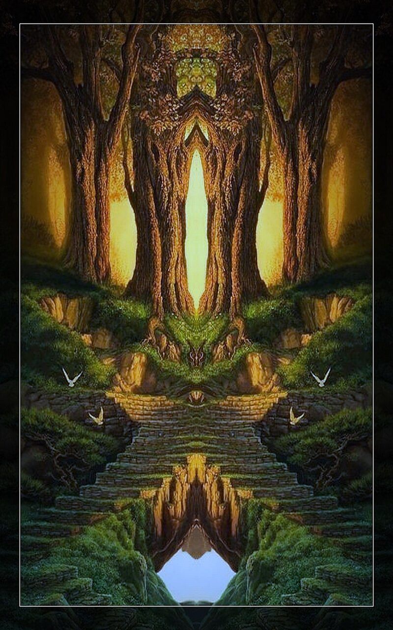 The Princess and the Forest