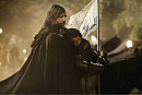 The Hound and The Puppy