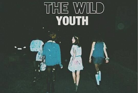 The Wild Youth
