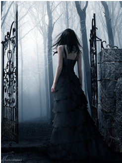 Dream Of Mirrors