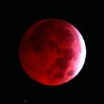 scarlet moon