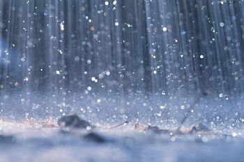 summer rain effect