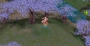As Aventuras do Poring Knight