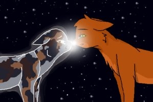 O Poder das Estrelas