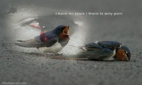 But in the end love always wins