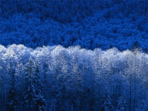 Winter.