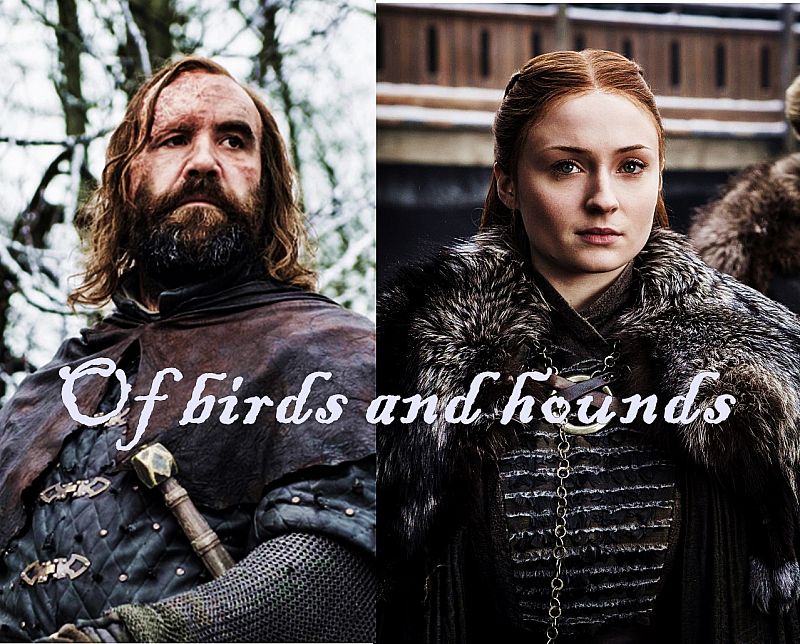 Of birds and hounds