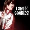 Ice Cookies