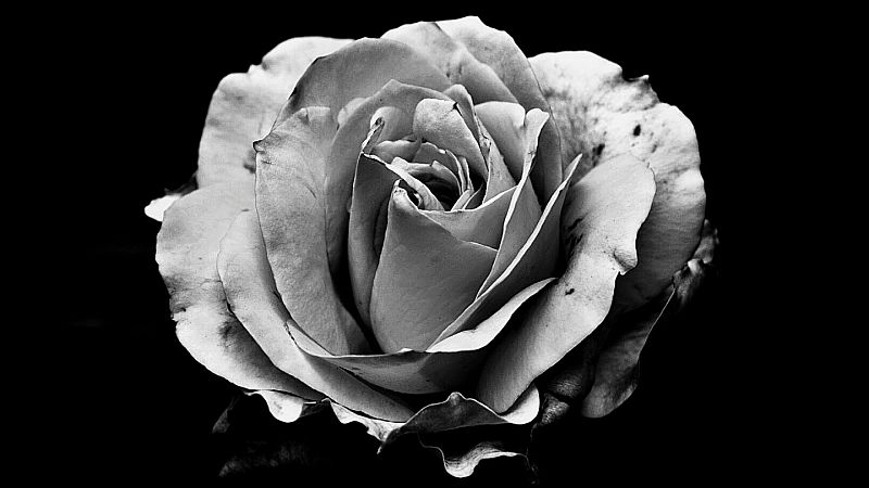 The world in black and white