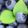 blueberrytree