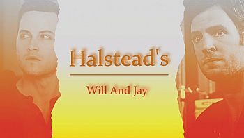 Halstead's