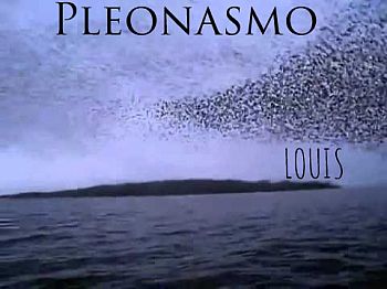 Pleonasm