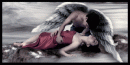 Black wings