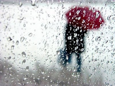 under the rain