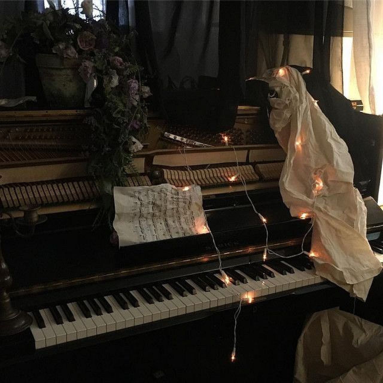 The Piano Notes