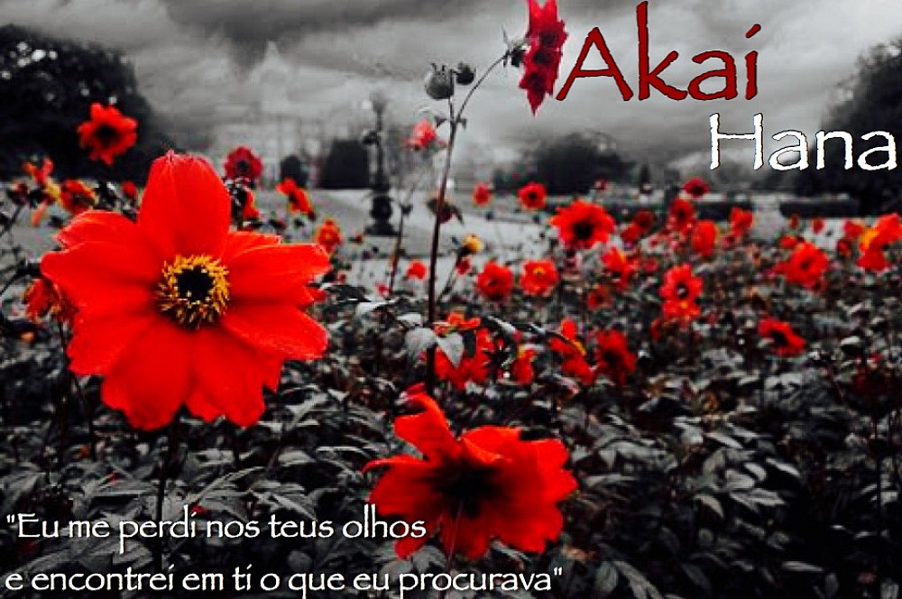 Akai Hana