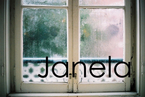 Window