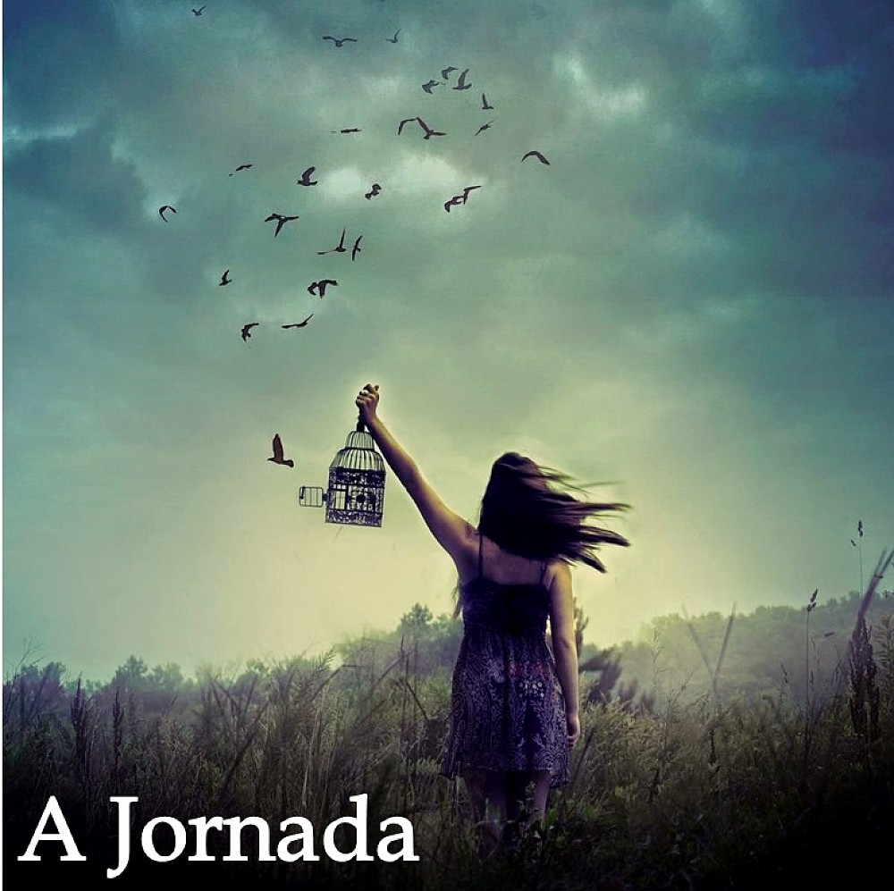 The journey