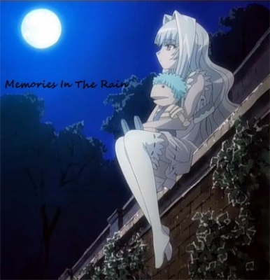 Memories In The Rain