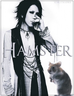 Me and a Killer Hamster