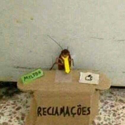 The Legend of the Headless Cockroach