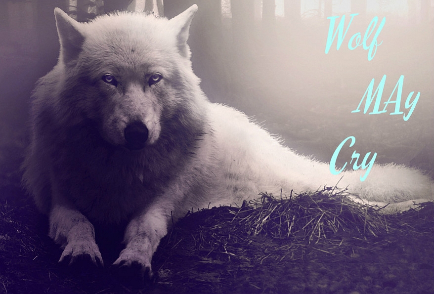 Wolf may Cry