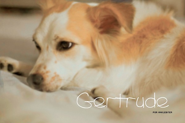 Gertrude