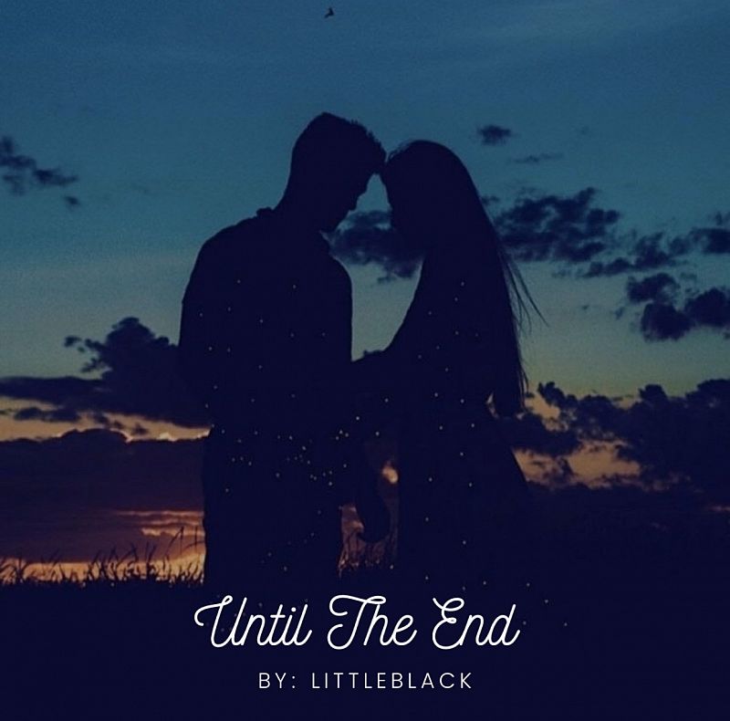 Until the end (On Hiatus)