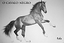 the black horse