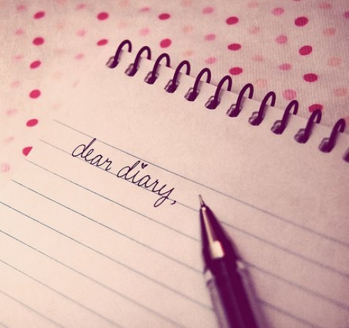 Diary Number 13