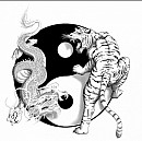 Dragon and Tiger Chronicles - The struggle of the constellations