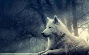 Entre Princesas E Lobos
