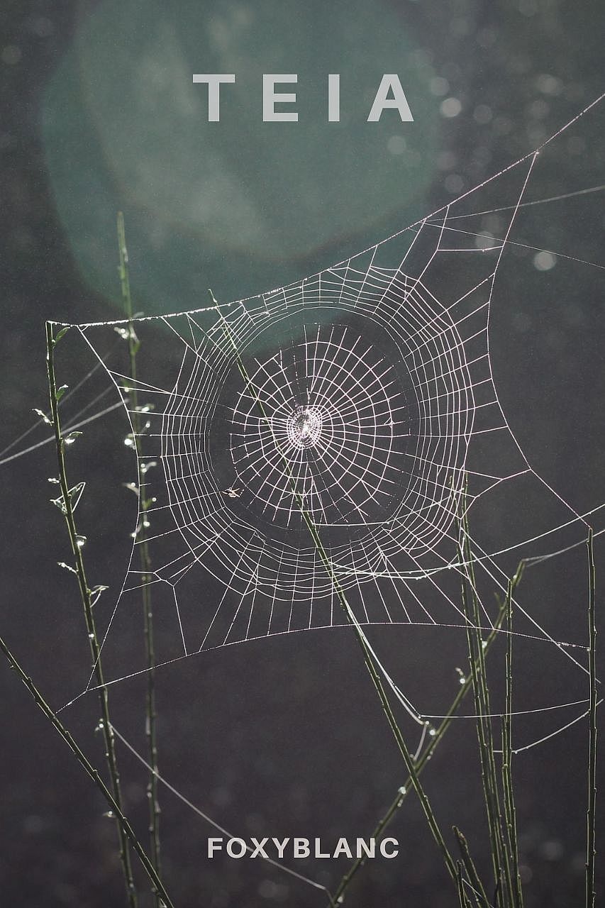 Web