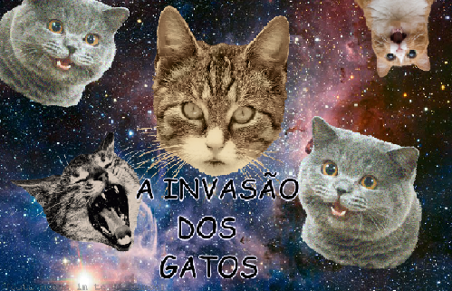 The Invasion of the Cats