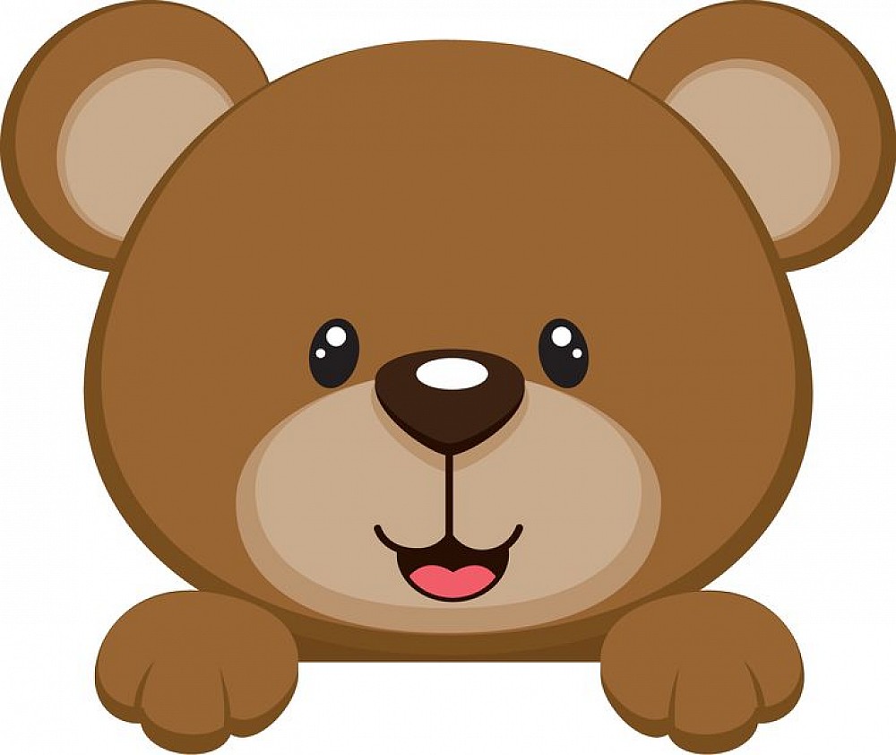 the teddy bear
