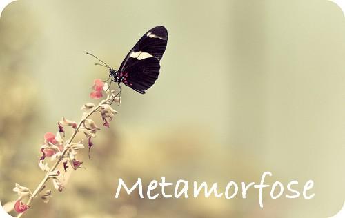 Metamorphosis