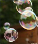 bubbles