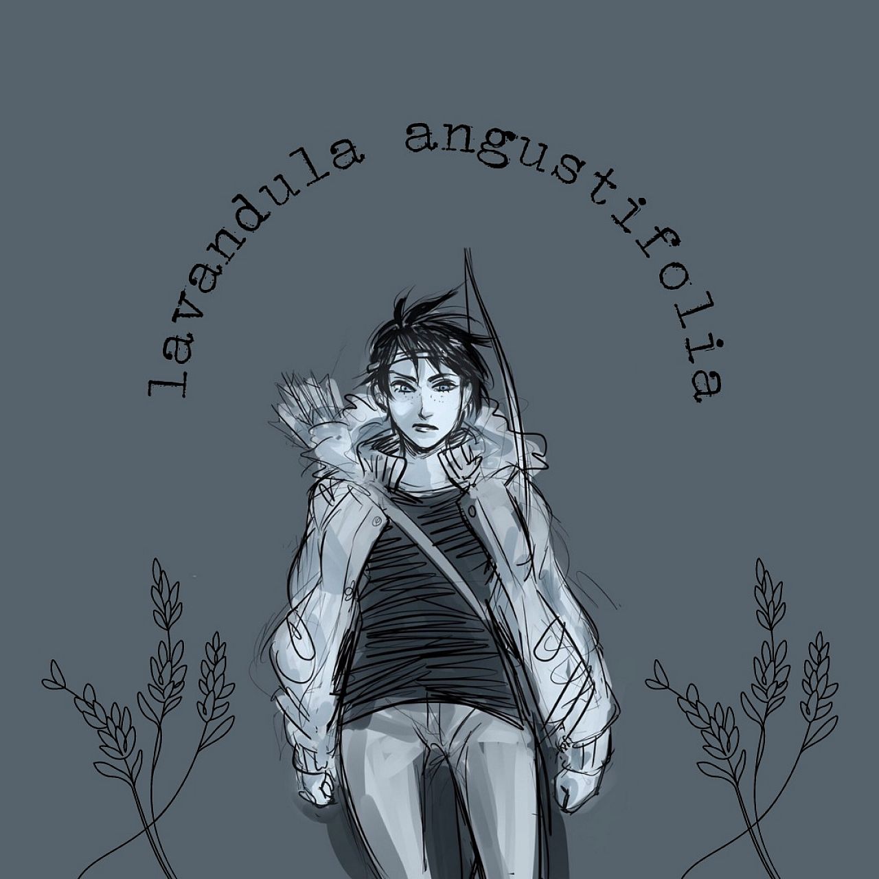 Lavandula Angustifolia