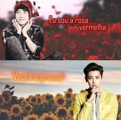 Eu sou a rosa vermelha. Você é o girassol.